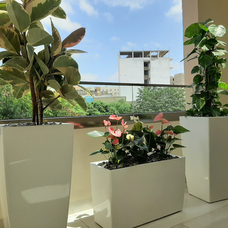 Vente et Location de Pots de fleurs