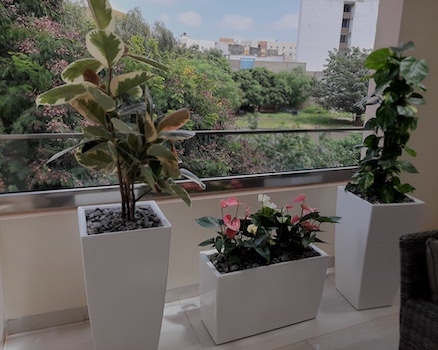Réalisation SoluPres Jardinage