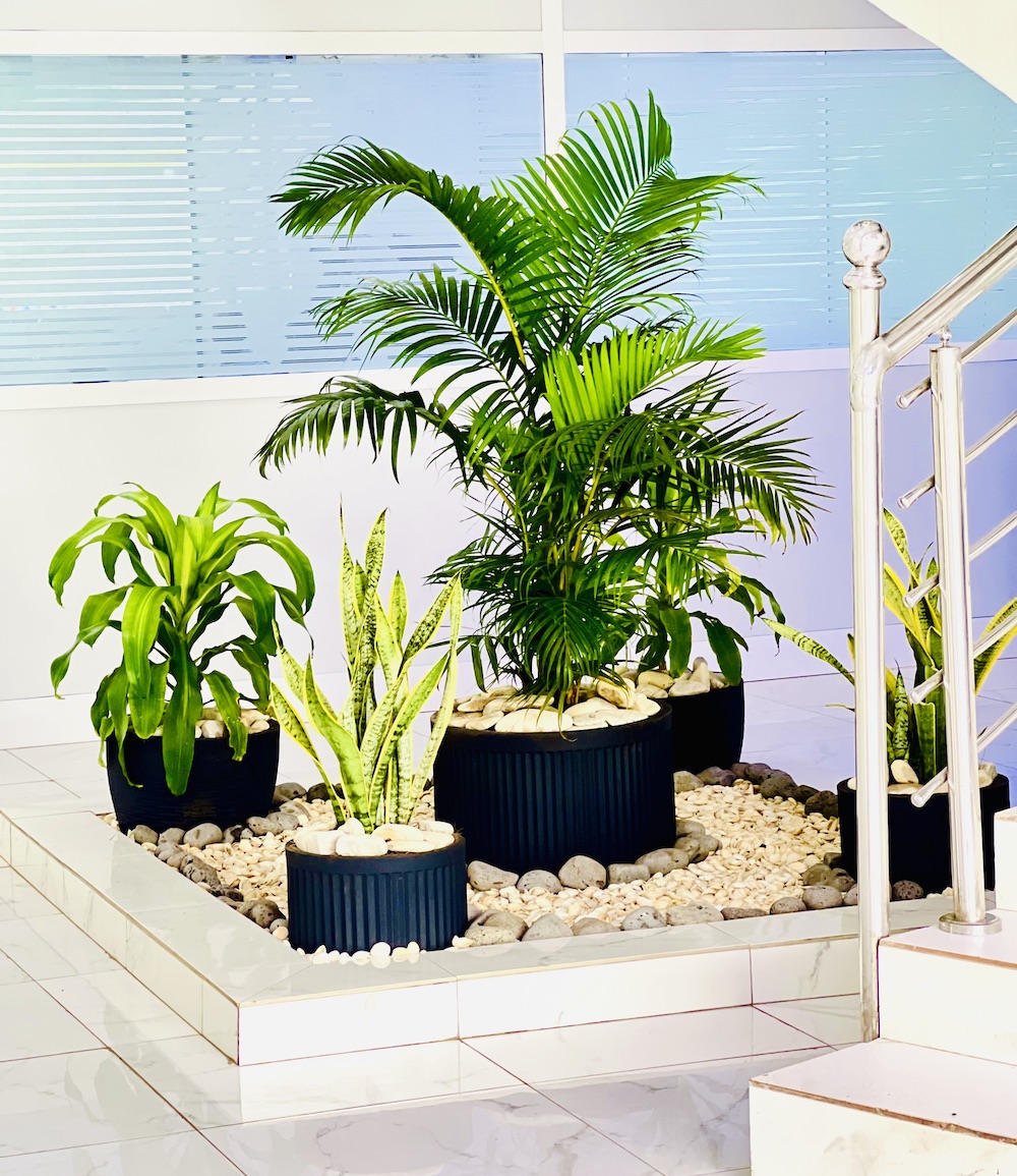 Réalisation SoluPres Jardinage